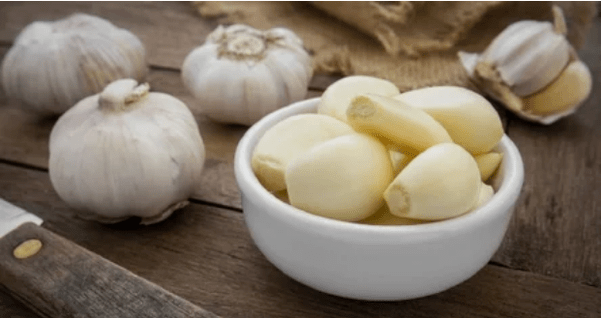 Garlic for pests