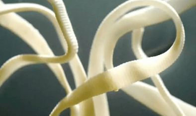 How to remove parasites from the human body