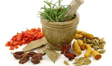 Methods of pest treatment in the body