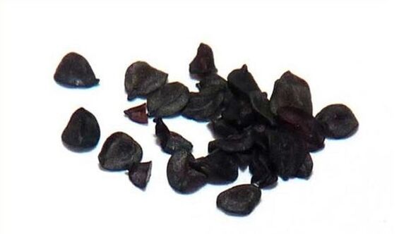 clove seeds for parasites